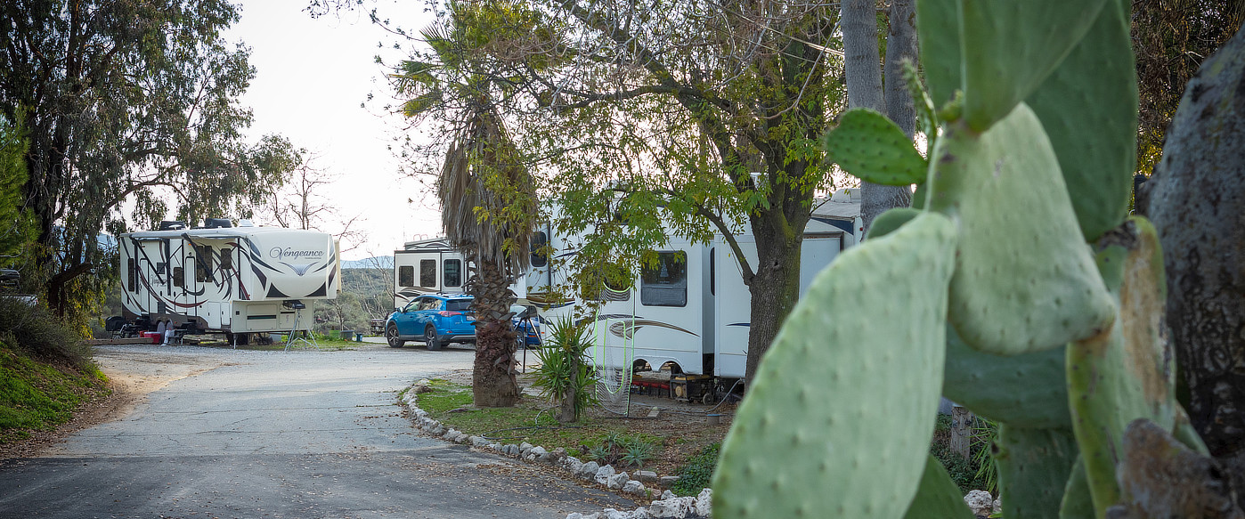 Cactus in foreground, RV in back